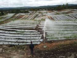 Janganlah Mematikan Petani Tradisional: Kritik Program Food Estate Jokowi dan Anies Baswedan