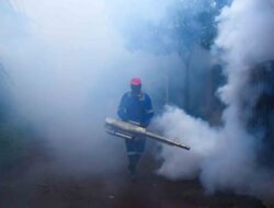 Kasus DBD Meningkat Pesat, DPR Mendorong Pemerintah Beraksi Penuh