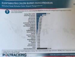 Dadang Solihat Mendominasi Hasil Poling Pilkada 2024