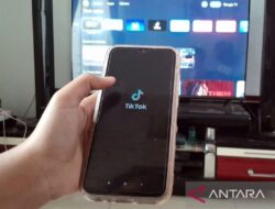 Aplikasi RedNote: Alternatif Baru di Tengah Pemblokiran TikTok