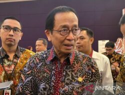 Peran OJK dalam Pertumbuhan UMKM untuk Ekonomi Berkelanjutan