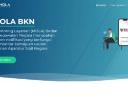 Cek Status Kepegawaian ASN di MOLA BKN: Ramah SEO!