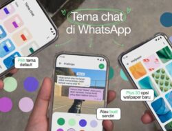 Fitur Tema Chat Baru WhatsApp: Cara Menggunakannya