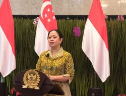 Keindahan Kekurangan: Fakta tentang Manusia Tak Ada yang Sempurna