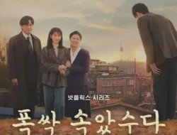 Kim Seon Ho Menjadi Suami IU? Universe Drakor Heboh!