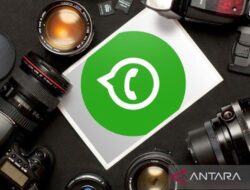 Pengenalan WhatsApp Business vs WhatsApp Messenger: Panduan Pemula