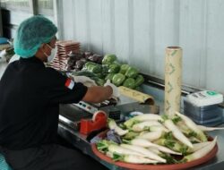 Konservasi Alam dan Keberlanjutan Lingkungan di Arista Montana