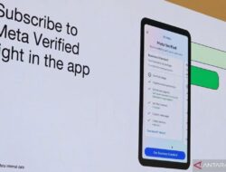 Perbedaan WhatsApp Biasa vs WhatsApp Business: Pilih yang Sesuai Kebutuhan