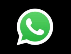 Tanda-tanda Akun WhatsApp Diblokir: Pesan tidak Centang Dua