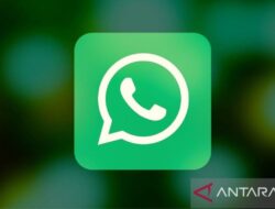 Rahasia Melihat Status WhatsApp Tanpa Diketahui
