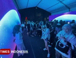 Sensasi Halu Festival 2025: Aurora Experience & Strategi UMKM Surabaya
