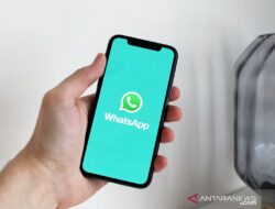 Cara Nonaktifkan WhatsApp Tanpa Mematikan Data Seluler