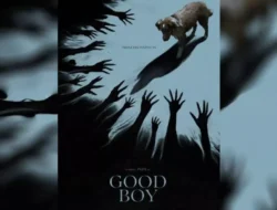 Review Film Horor Good Boy dari POV Anjing