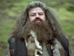 Sutradara Film Harry Potter Kritik Pedas Reboot HBO Hagrid Baru