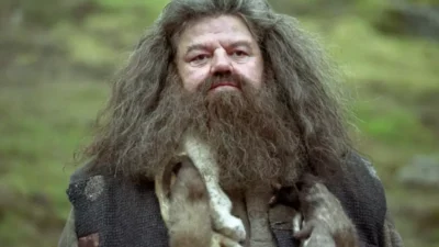 Sutradara Film Harry Potter Kritik Pedas Reboot HBO Hagrid Baru