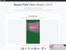 Cara Membuat Foto Brave Pink & Hero Green Viral di Medsos