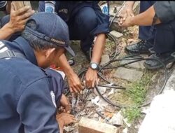 Data Kerusakan Pencurian Kabel Lampu Lalin di Green Garden: Fakta dan Analisis